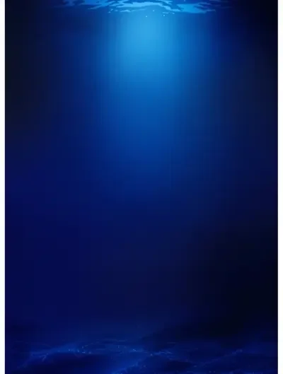 深海迷踪